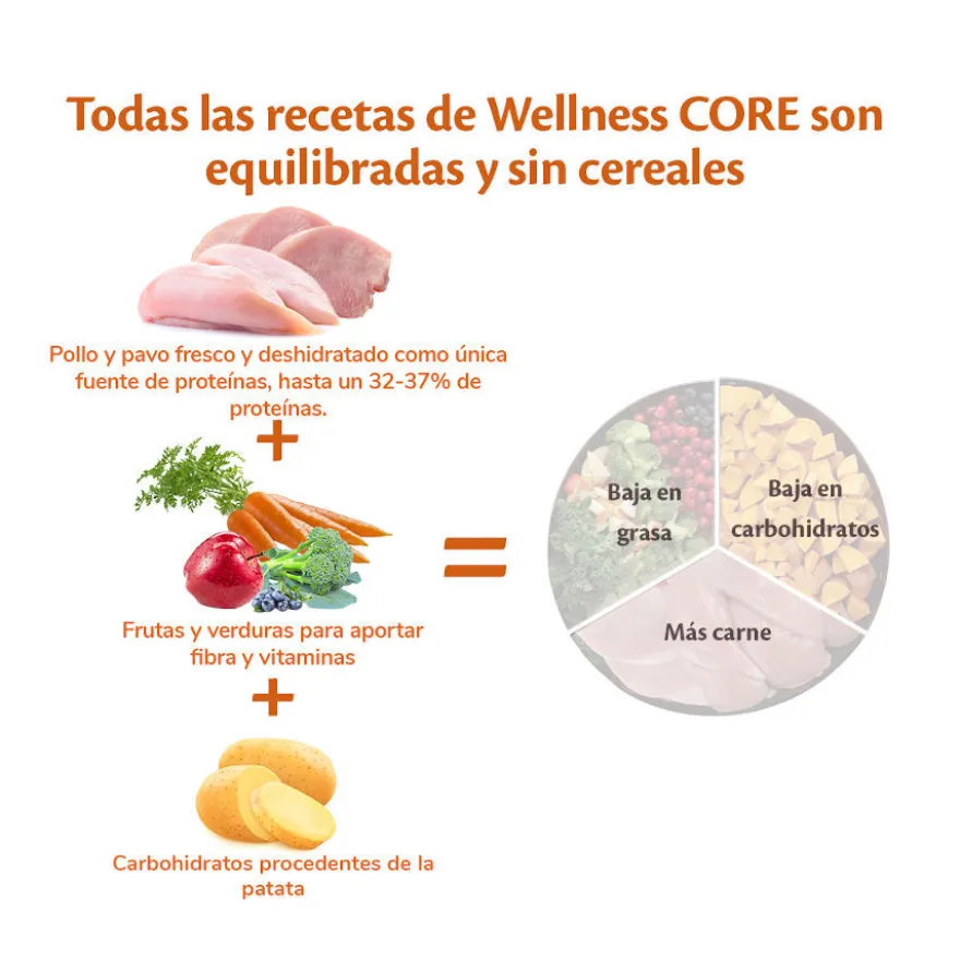 Wellness Core Senior Frango e Peru ração para cães