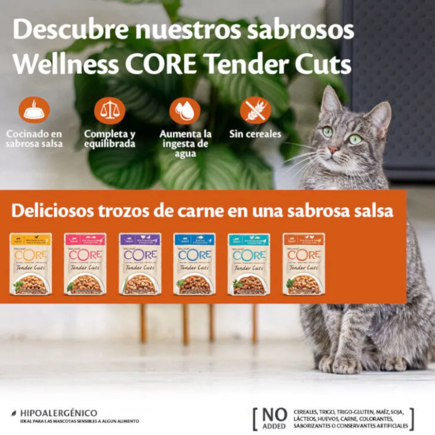 Wellness Core Tender Cuts atum em molho saquetas para gatos