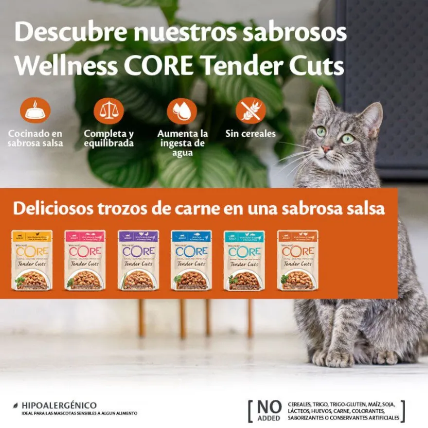 Wellness Core Tender Cuts frango e peru em molho saquetas para gatos