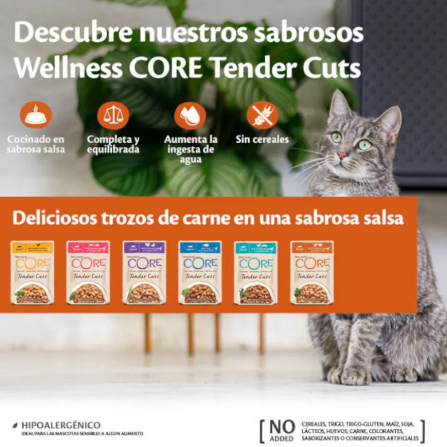 Wellness Core Tender Cuts salmão e atum em molho saquetas para gatos