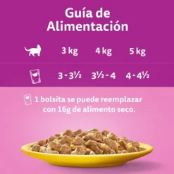 Whiskas Aves Geleia em Saqueta para Gatos Senior - Multipack