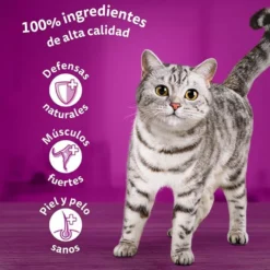 Whiskas Peixes Geleia em Saqueta para Gatos - Multipack