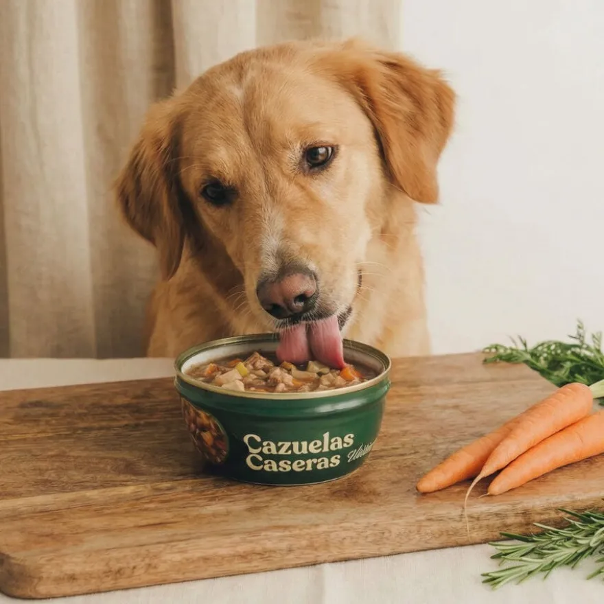 Wild Balance caçarola caseira de salmão, frango e pera para cães